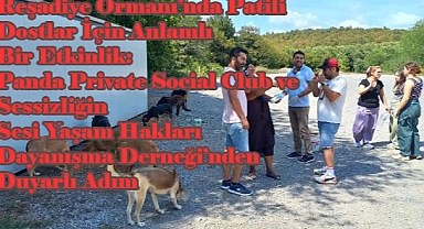 Reşadiye Ormanı’nda Patili Dostlar İçin Anlamlı Bir Etkinlik: