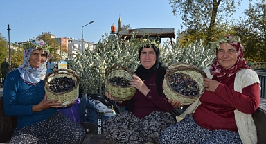 MANAVGAT’TA ZEYTİN VE ZEYTİNYAĞI FESTİVALİ COŞKUYLA BAŞLADI