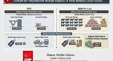 Gürer: “975 Dolardan 1.561 Dolara: Besilik sığırın ithalat fiyatı 4 yılda %60 zamlandı!”
