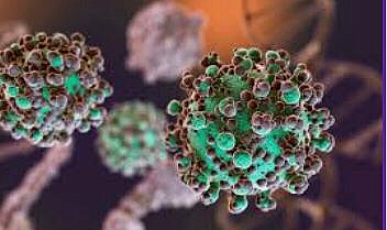 Nipah Virüsü Geleceğimizi Tehdit Edecek Gibi, Bizden Uyarması…