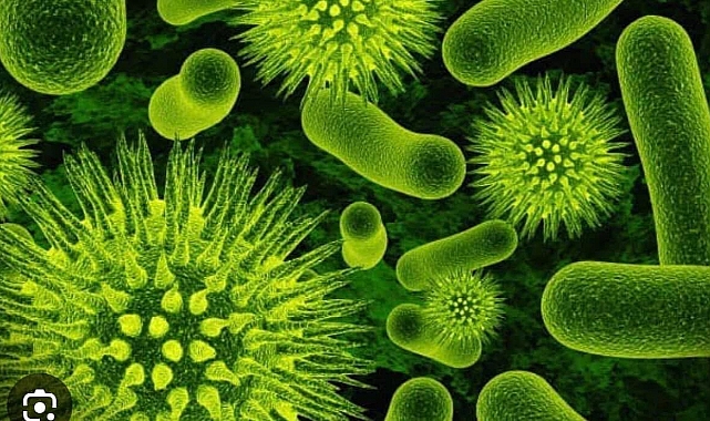 Dost Bakterilerimize Neden İhanet Ediyoruz?